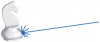 Rayonic